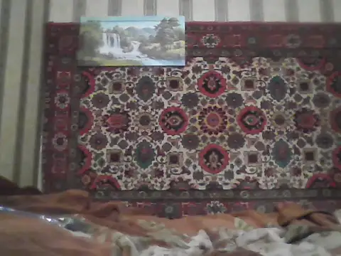 AlferezzSolvajo online show from 13, 9, 2025