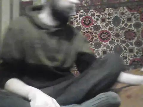 AlferezzSolvajo online show from 8, 1, 2026