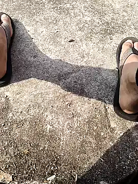 aryan 8051 online show from 12, 1, 2025