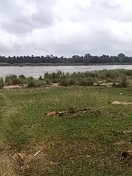 aryan 8051 online show from 29, 10, 2025