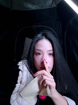 csck2025 online show from 28, 11, 2025