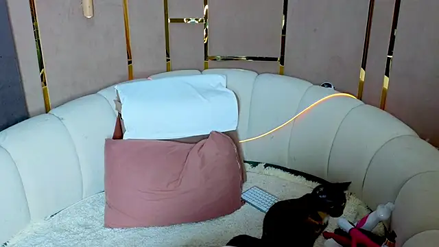 emilytrays online show from 16, 5, 2026