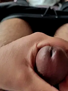 pitorico bb online show from 19, 9, 2025