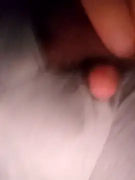 pitorico bb online show from 23, 9, 2025