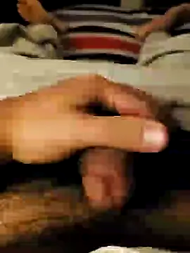 pitorico bb online show from 16, 3, 2025