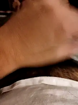 pitorico bb online show from 11, 3, 2025