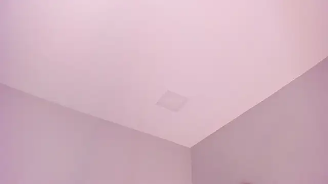 sara  jones gh online show from 7, 11, 2025