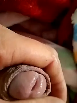 mmarvis za78 93 21cm online show from 9, 2, 2025