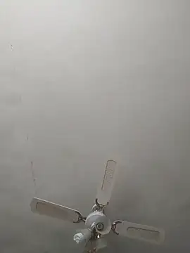 Lauren Amabel online show from 6, 1, 2025