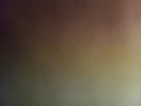 Lauren Amabel online show from 6, 11, 2025