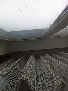 Lauren Amabel online show from 21, 3, 2026