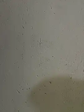 triplebeast online show from 17, 10, 2025