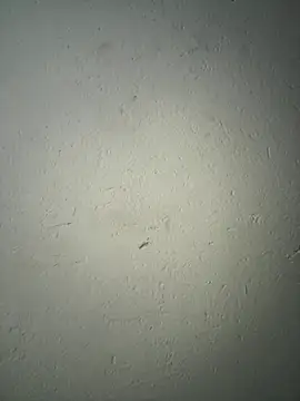 triplebeast online show from 2, 12, 2025