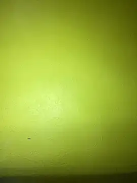 triplebeast online show from 23, 1, 2025