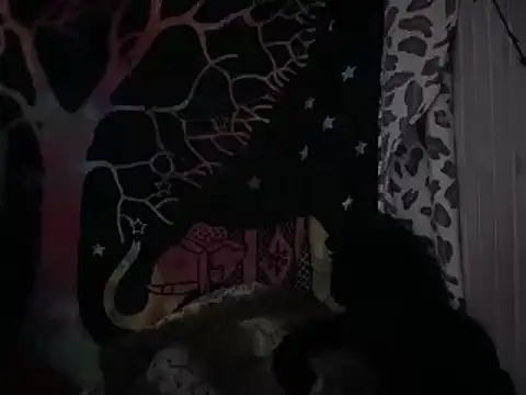 badboy366 online show from 12, 2, 2026