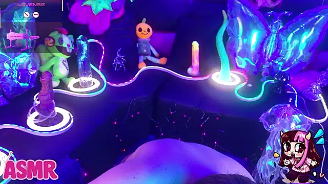 LaytonBox online show from 20, 3, 2026