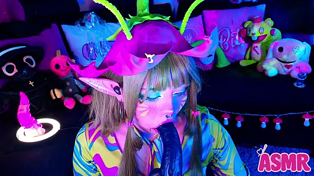 LaytonBox online show from 26, 10, 2025