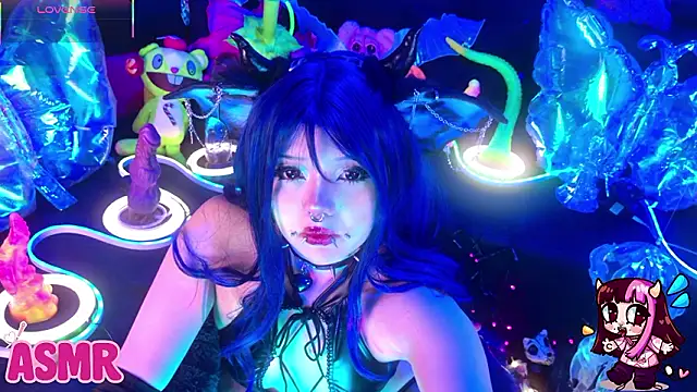 LaytonBox online show from 11, 3, 2026