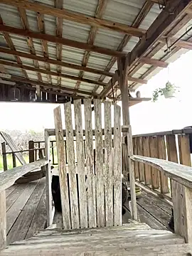 32XRedBeard online show from 3, 3, 2026