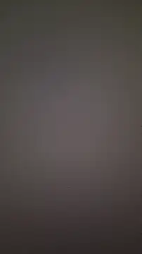 nonalona199999 online show from 28, 11, 2025