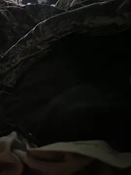 BCFZD online show from 27, 9, 2025