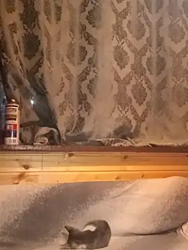 rosse26830 online show from 28, 9, 2025