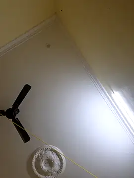 kanikasree online show from 26, 9, 2025