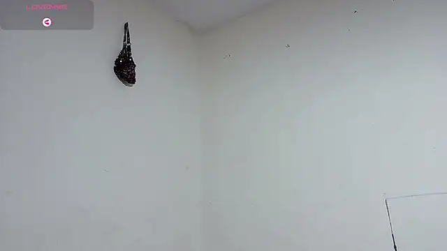 boysLittle online show from 7, 2, 2026