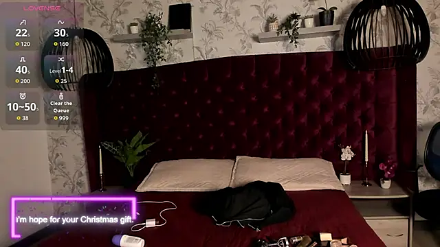 tim  fox online show from 15, 12, 2025