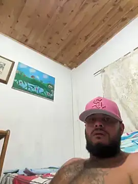 pegaso888888 online show from 26, 4, 2026