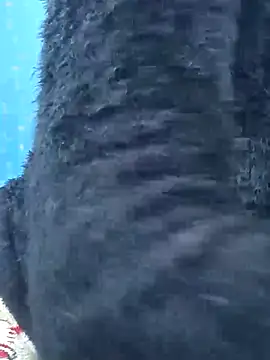 Snehalive online show from 26, 11, 2025