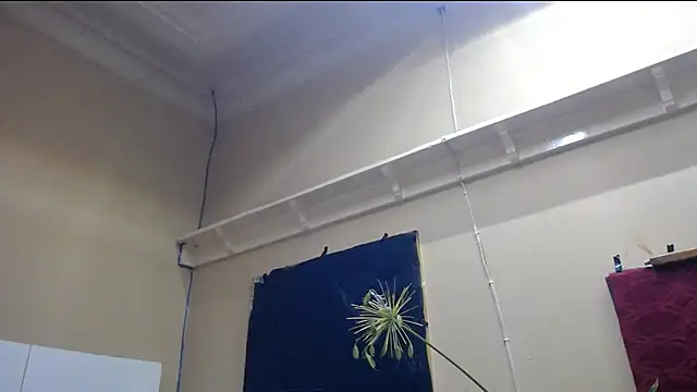 TALLSWATIBIACH online show from 1, 3, 2025