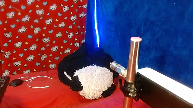 kattislut77 online show from 15, 9, 2025