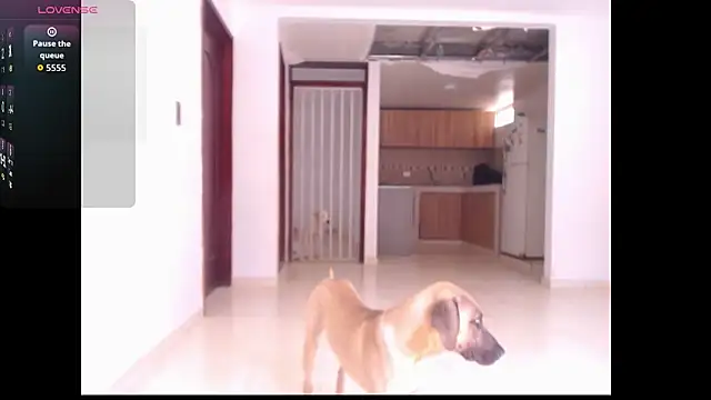 leslycarsson online show from 7, 10, 2025