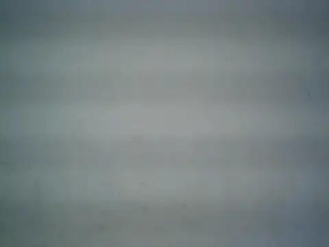 michel1520 online show from 26, 5, 2026