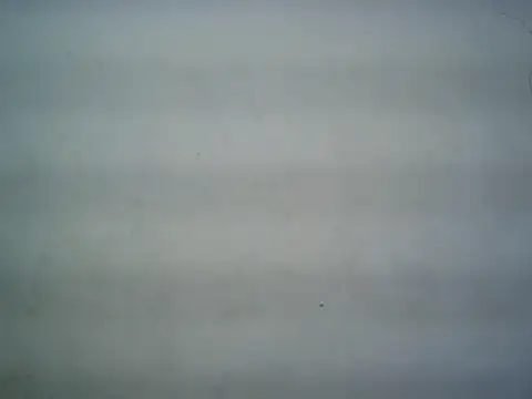 michel1520 online show from 16, 7, 2026