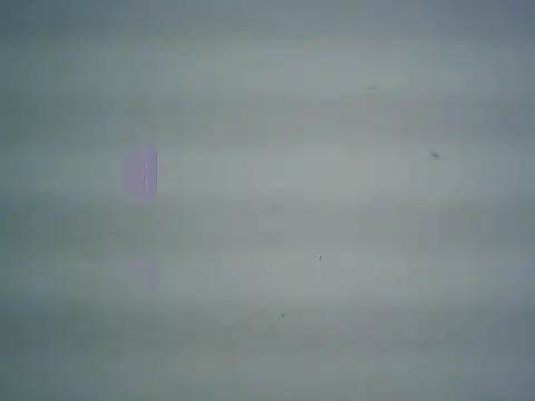 michel1520 online show from 11, 4, 2026