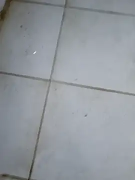 sexodoll1990 online show from 16, 2, 2026