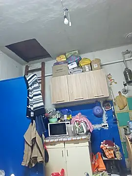 Jyleta online show from 1, 11, 2025