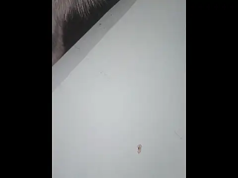 dany hardy online show from 10, 1, 2026