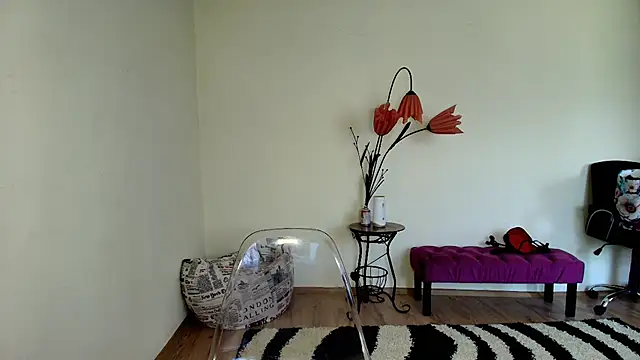 VixenVibesX online show from 27, 5, 2026