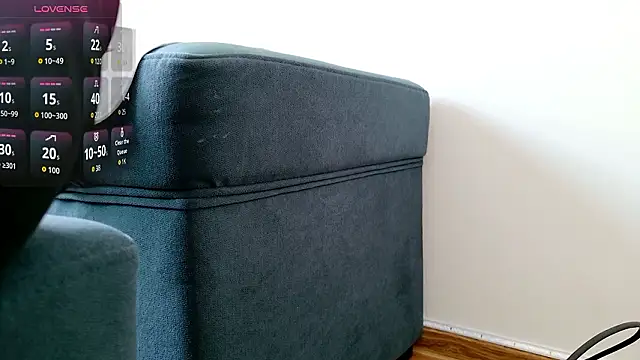 anan2025 online show from 12, 3, 2026