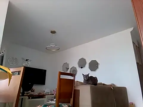 Snapshot of Munnoki chatting on 1, 3, 2026 Munnoki online show from 1, 3, 2026