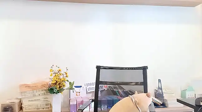 Lush-Office online show from 12, 3, 2025