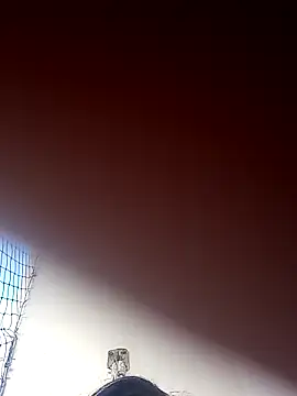 Snapshot of Donnasexy5 chatting on 7, 3, 2025 Donnasexy5 online show from 7, 3, 2025