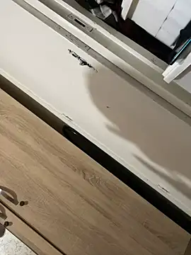 chikhamaisaa online show from 11, 2, 2025