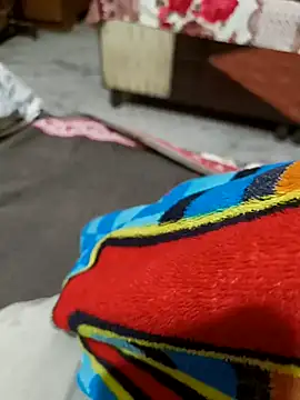 kaif 220 online show from 13, 1, 2025