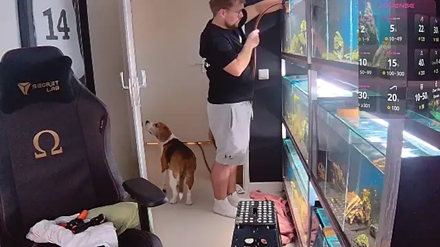 justinitt online show from 26, 2, 2025