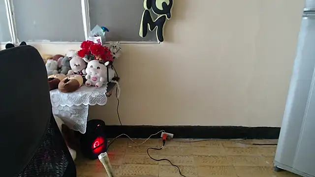 Snapshot of thamara226 chatting on 13, 2, 2026 thamara226 online show from 13, 2, 2026