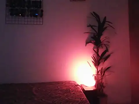 lollaxjf online show from 31, 5, 2026